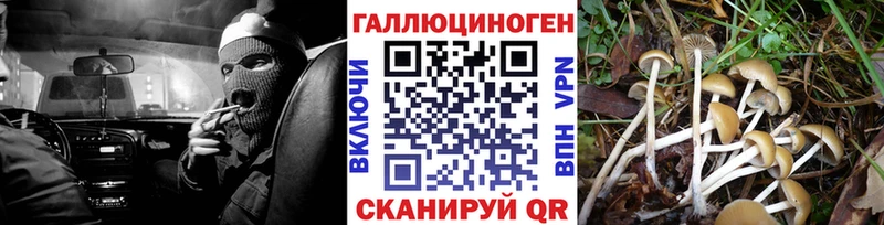 Галлюциногенные грибы мицелий  Горнозаводск 